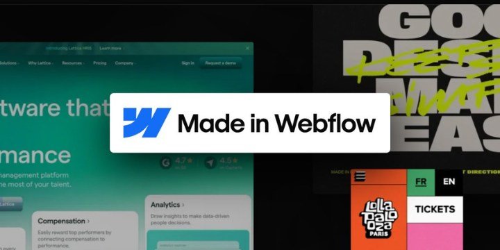 webflow popularity